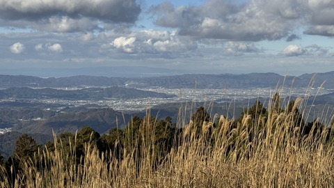 IMG_3130