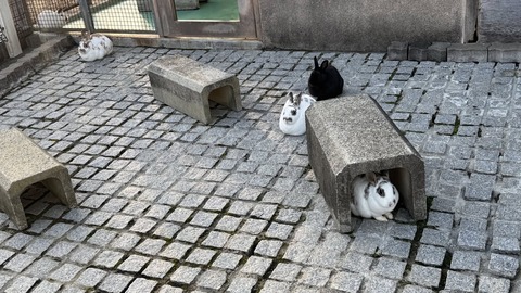 639686299_3860180714115243_2302623072383227275_n