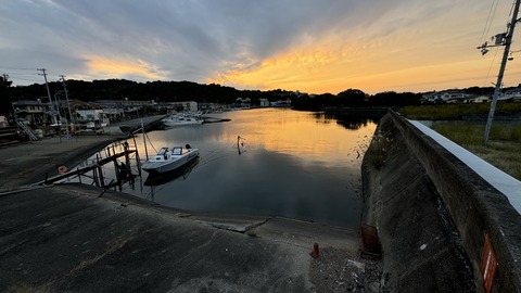 IMG_2565
