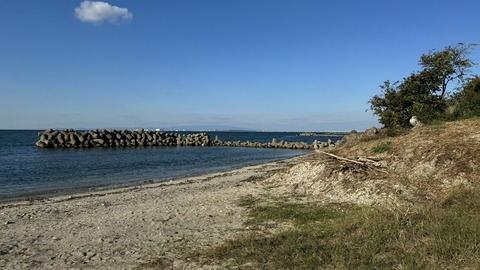 IMG_2631
