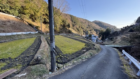 IMG_0806
