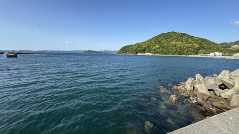 IMG_1578