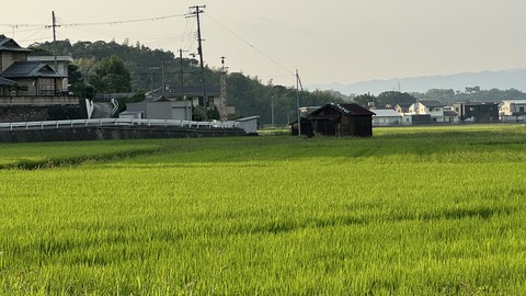 IMG_1080