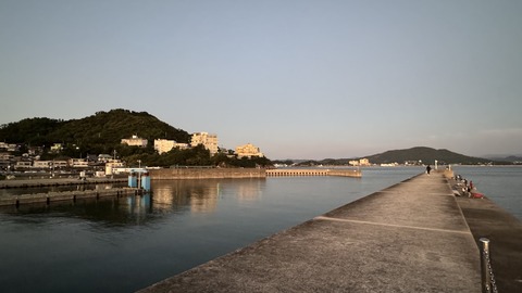 IMG_2287