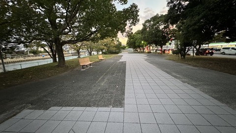 IMG_2595