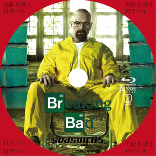 BD�ץ���(�֥쥤���󥰥Хå�S5)