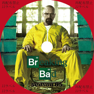 BD�ץ���(�֥쥤���󥰥Хå�S5)2