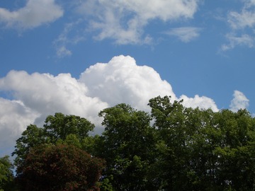20110508