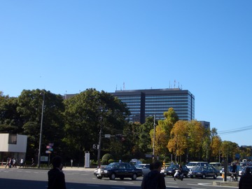 20121116