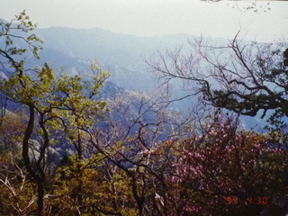 ��Ʀ����