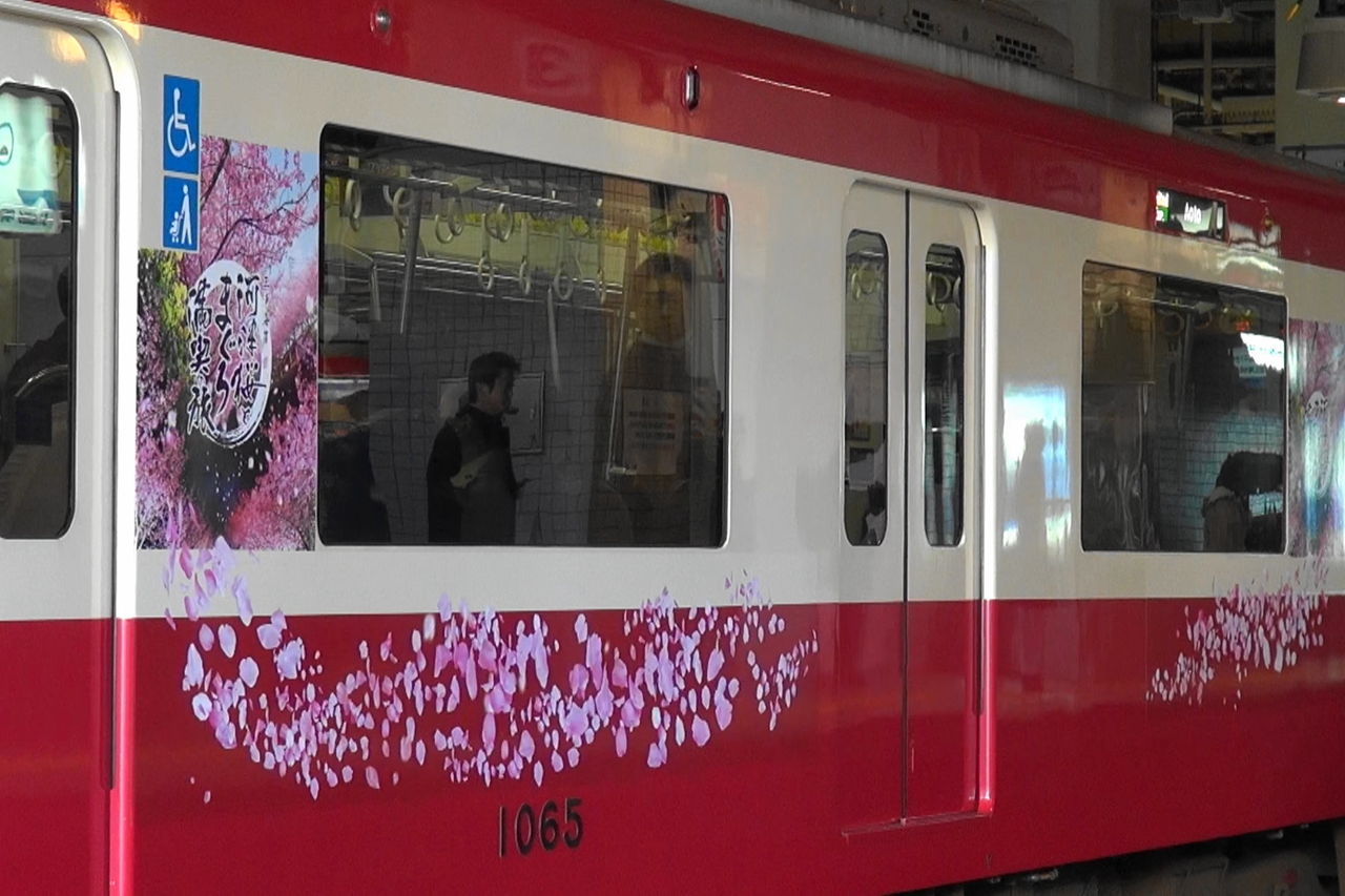251系 SVO 新塗装 河津桜ラッピング 10両編成 クリアファイル2点付き 3508.SAKURAドロップス～「河津桜」ラッピングの251系 | さすらい館