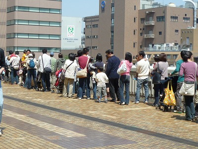 �ץ�졼����η�ʪ�γ���Ĺ�ؤ���