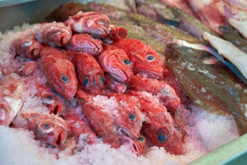 スーパーでよく見る 赤魚 が何の魚か知ってる Dr Mino人生放談 スーパーでよく見る 赤魚 が何の魚か知ってる Dr Mino人生放談