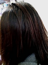 �Ĥ��äƤ��롢�Ĥ��äƤ��ʤ���������å���