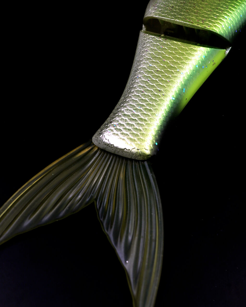 釣りフェス2026/ギラギラコウゲキHS。 : depsスタッフによる