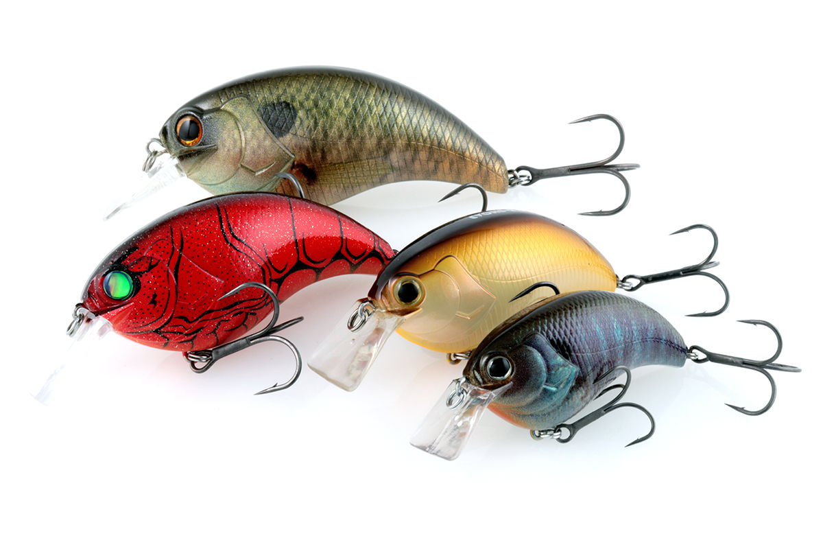 EVOKE3.0。 : depsスタッフによるオフィシャルブログ