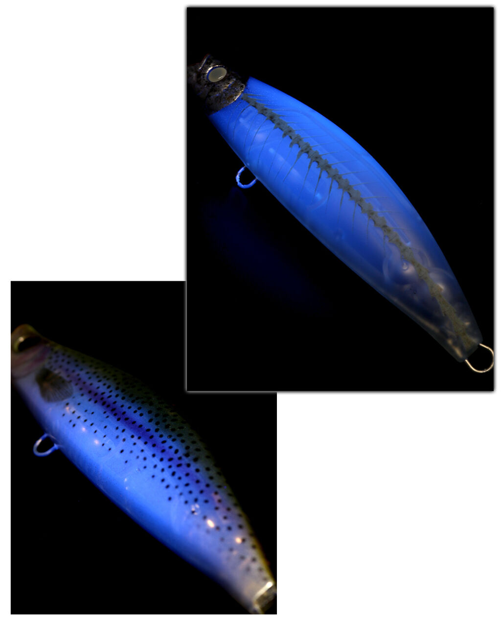 釣りフェス2026/販売ルアー : depsスタッフによるオフィシャルブログ