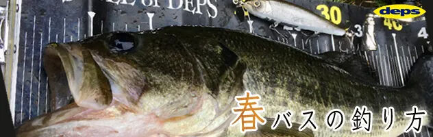 春のバス釣り22 西山英司 Depsスタッフによるオフィシャルブログ 春のバス釣り22 西山英司 Depsスタッフによるオフィシャルブログ