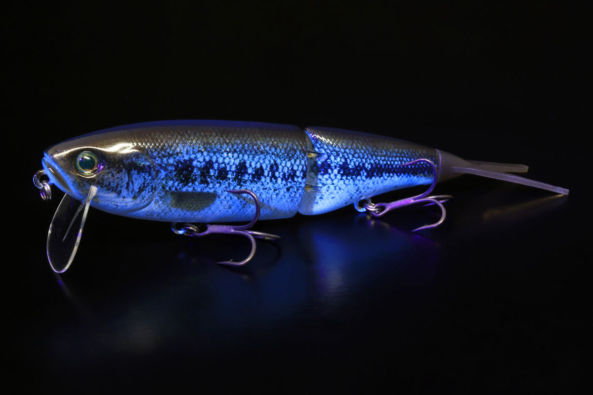 釣りフェスティバル『スウィートキラー』。 : depsスタッフ 釣りフェスティバル『スウィートキラー』。 : depsスタッフ