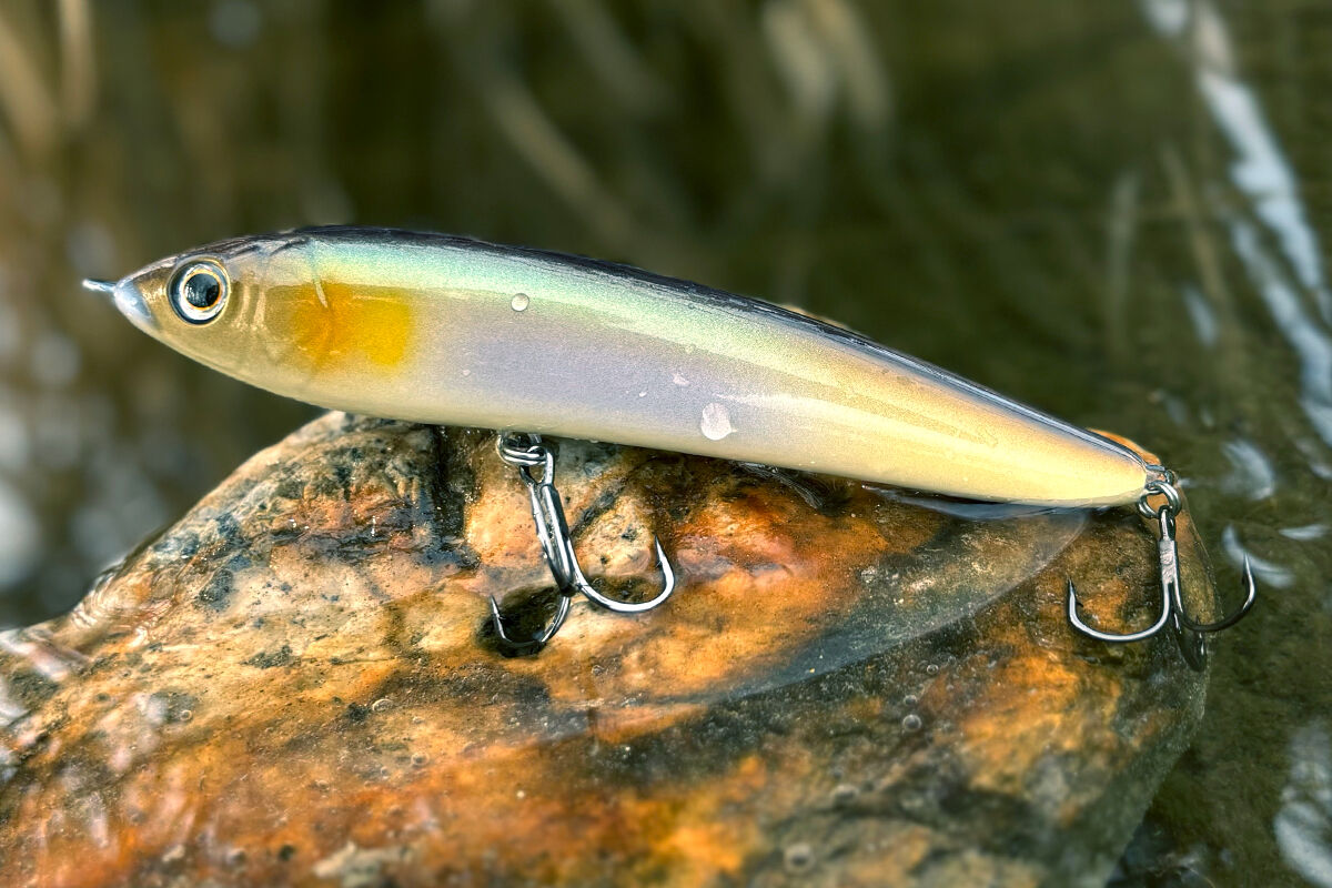 入会特典『ライブハスラー』 : depsスタッフによるオフィシャルブログ