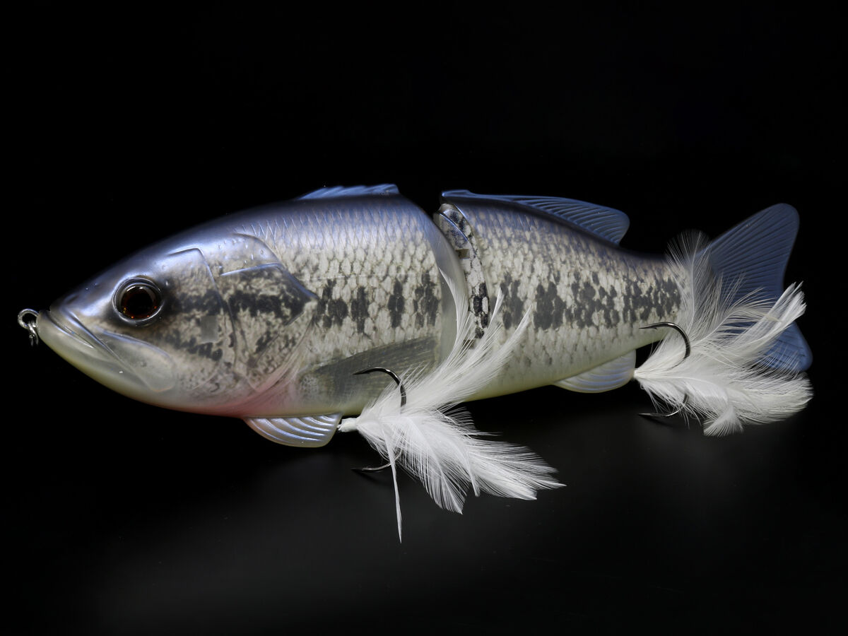 釣りフェスティバル2025/コードネームバス。 : depsスタッフ 釣りフェスティバル2025/コードネームバス。 : depsスタッフ