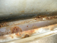 DSCN4809