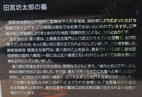 ふたたび田宮坊太郎 どこいっきょん ふたたび田宮坊太郎 どこいっきょん