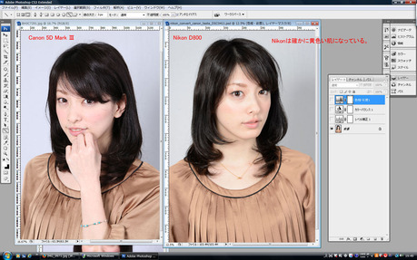 nikon_convert_to_canon1