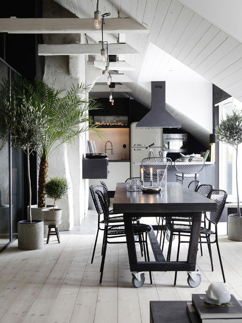 Sweden Industrial and Raw Apartment