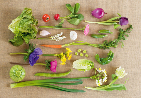 野菜を使ったテーブルデコレーション