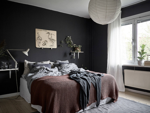 Apertment with Dark Wall Bedroom