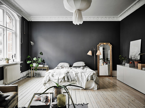 ダークグレーのワンベッドルームApartment