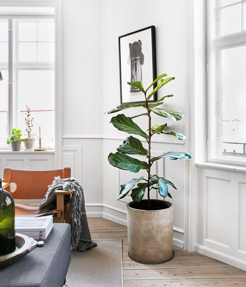 2018100108