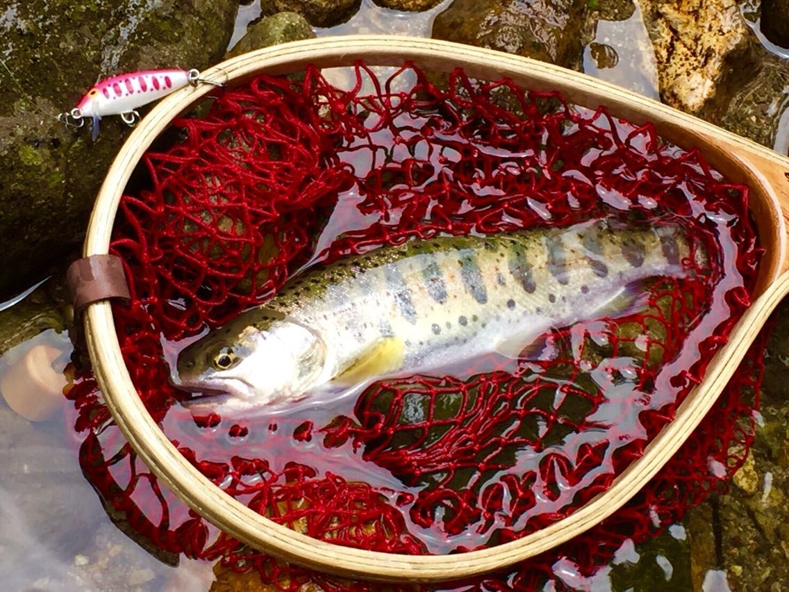 渓魚との出会い 一期一会 Fishing Life 渓魚との出会い 一期一会 Fishing Life