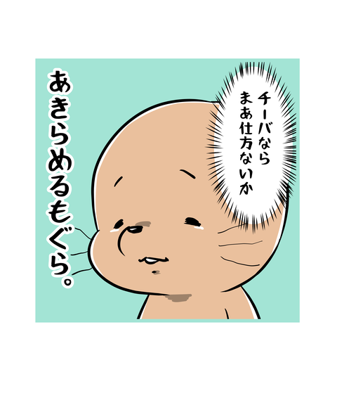238-6