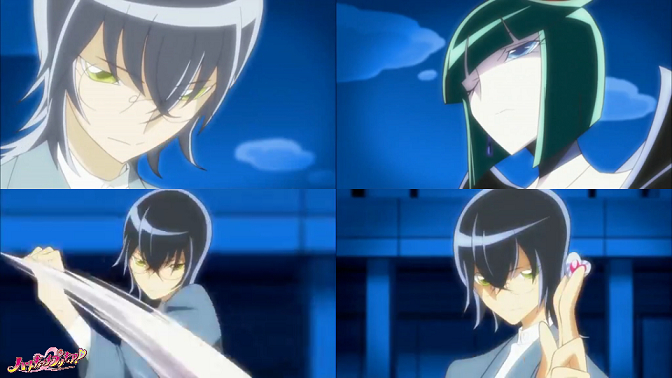 真実が明かされます キュアムーンライトの正体 Cogito Ergo Sum