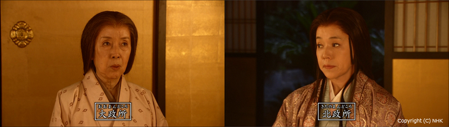 家康の花嫁 Cogito Ergo Sum 家康の花嫁 Cogito Ergo Sum