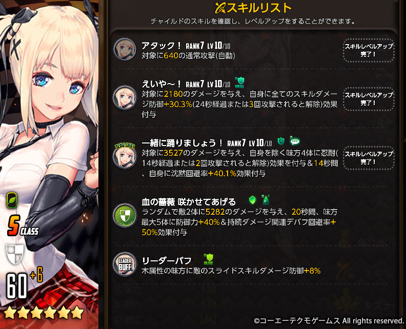 LV60スキルシート_mary