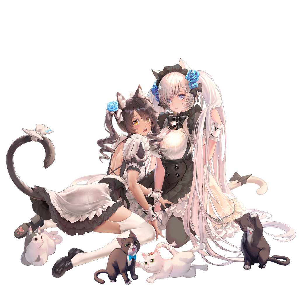 c435_10_png