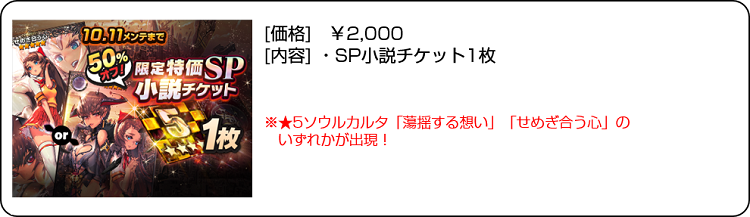 限定特価SP小説チケット