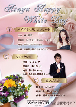 201603025afZ319V