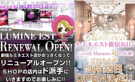 ミッシェルマカロン チラシ