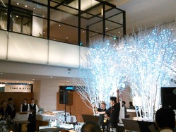 NEC_0800