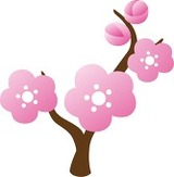 梅の木