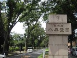 入口