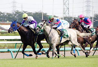 ��������������AH