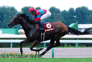 2010���ڵ�ǰ