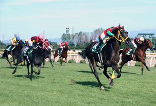 �����������㣲��S