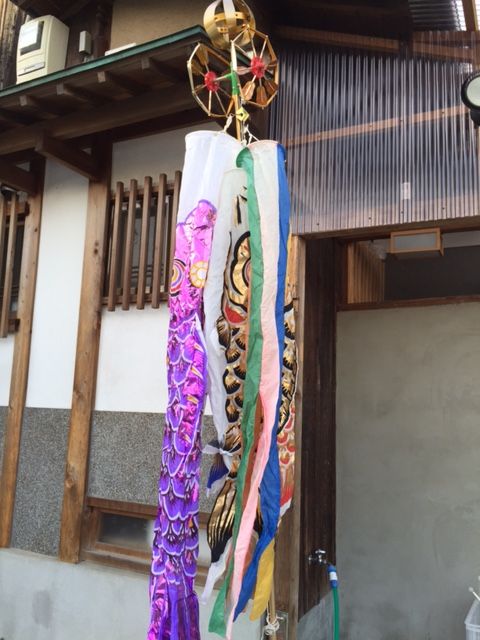 鯉のぼり メンズ大きいサイズ専門通販店 デビルーズ店主漫遊記 鯉のぼり メンズ大きいサイズ専門通販店 デビルーズ店主漫遊記
