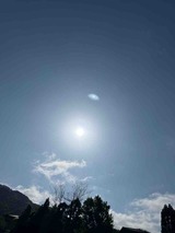 IMG_5308